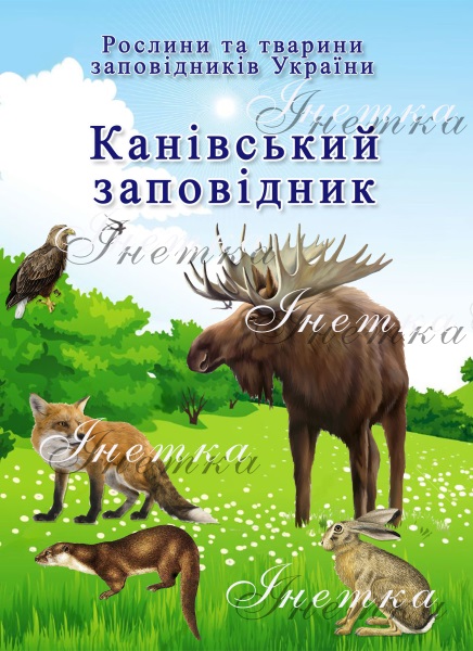 Реклама