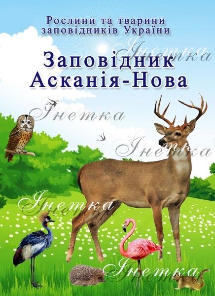Реклама