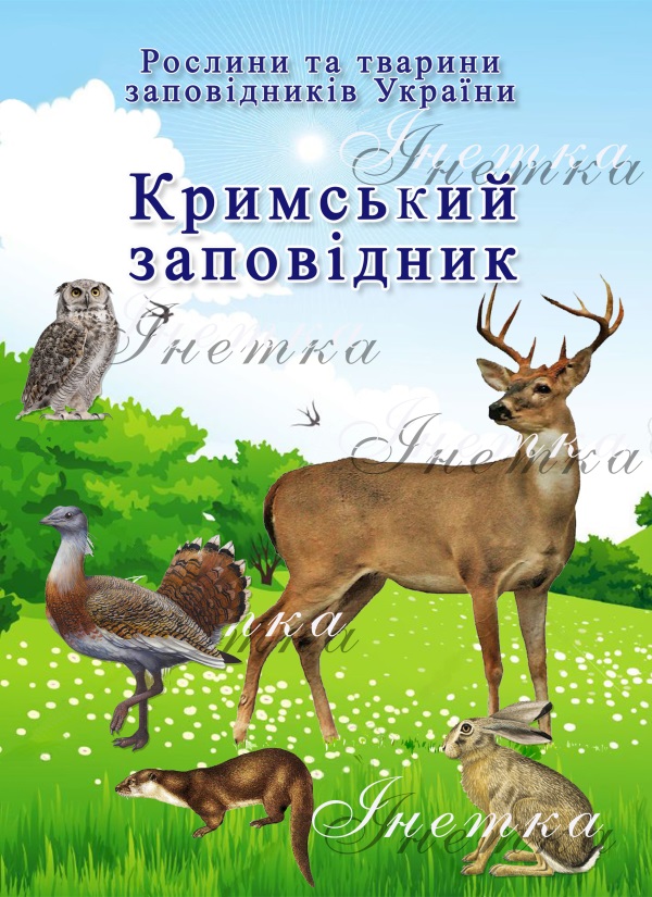Реклама