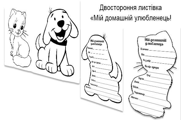 зображення_viber_2024-09-25_15-09-09-182