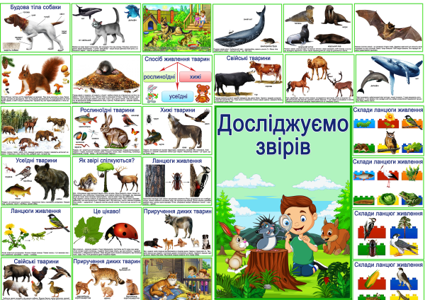 .Реклама