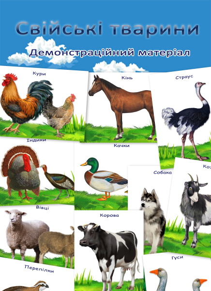 Реклама