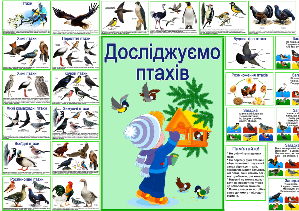 Реклама,