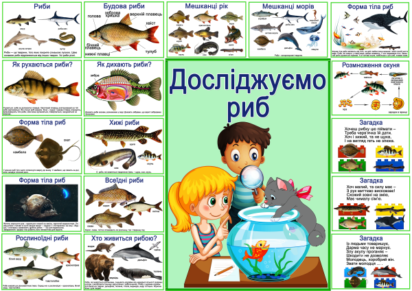 ,Реклама