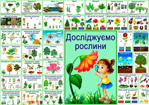 реклама,,